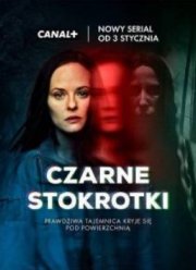 Странные Ангелы (2025)