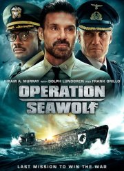 Операция «Морской волк» (2022)
