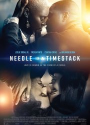 Иголка в стогу времени (2021)