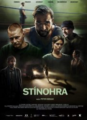 Игра теней (2022)