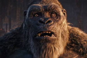 ��������� ������ ������ � ������ ��������� � ����: ����� ��������